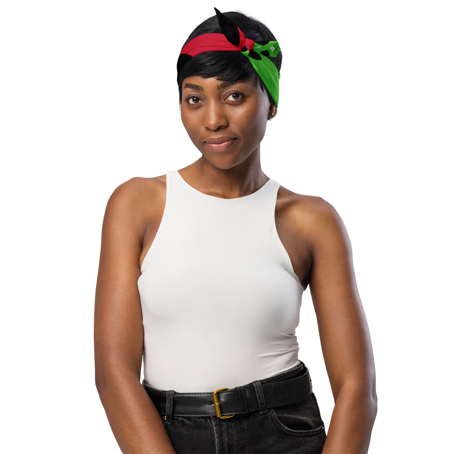 Ladybug / Chat Noir Bandana